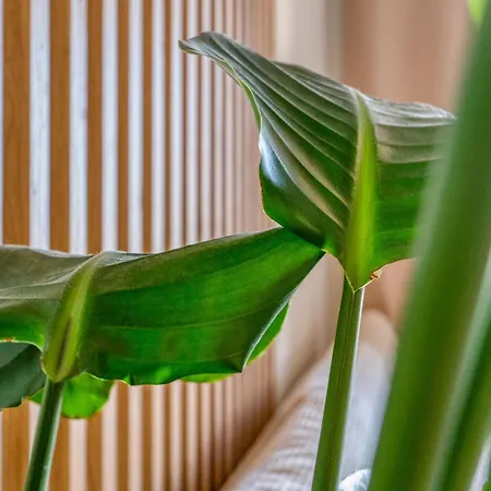 1 Cosy - 4 Min Du Palais - Wi-fi - Climatise Apartmán *